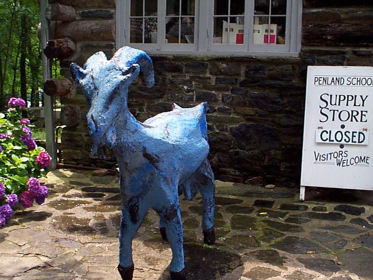 Goat at Penland